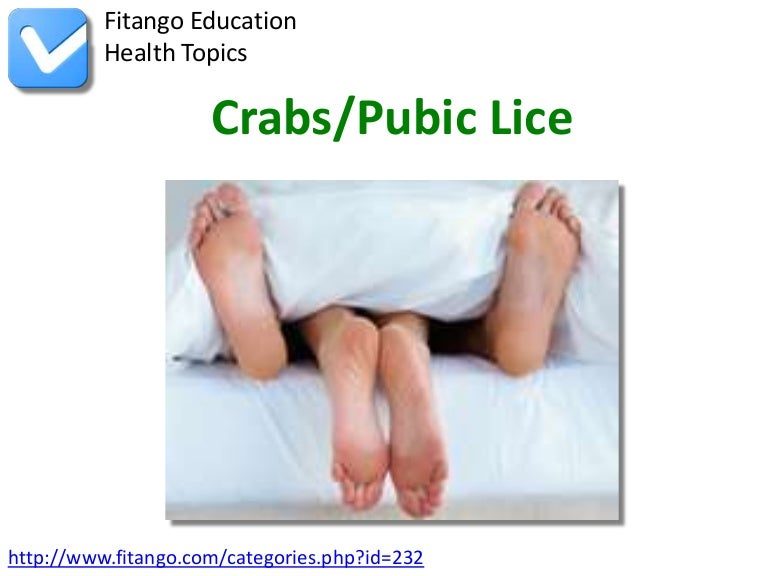 Crabs/Pubic Lice