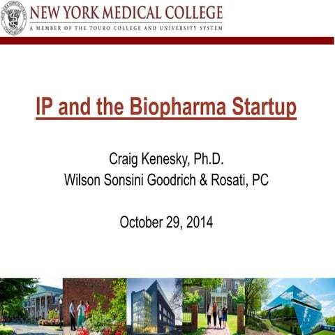 IP and the Biopharma Startup