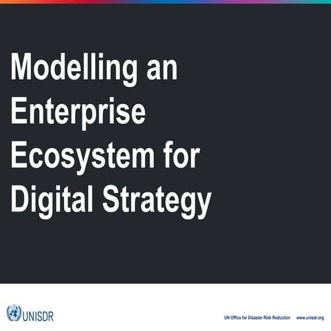 Modelling an Enterprise Ecosystem for Digital Strategy - Craig Duncan, UNISDR...