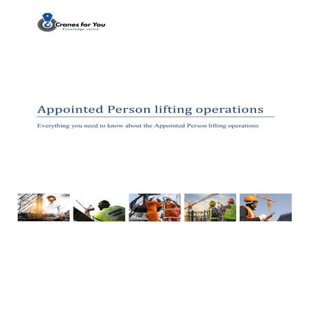 Cranes for You - Everything about the Appointed Person.pdf
