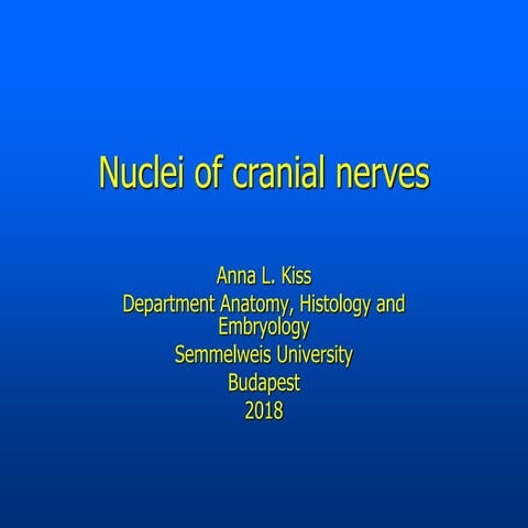 Ppt Chapter 15 Cranial Nerves Powerpoint Presentation