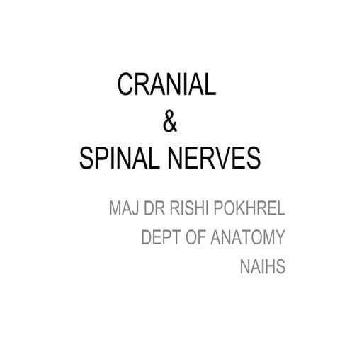 Cranial and spinal nerve
