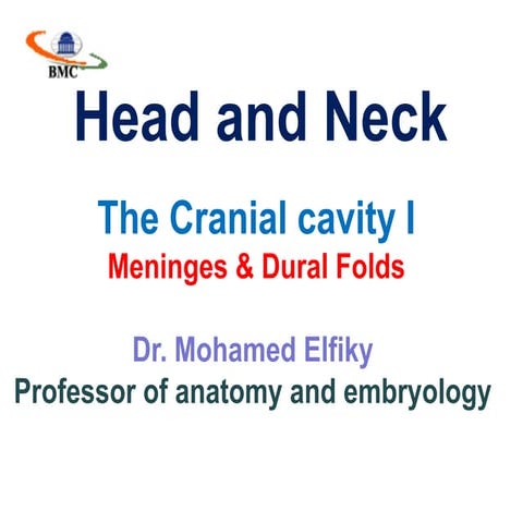 Cranial cavity part 1