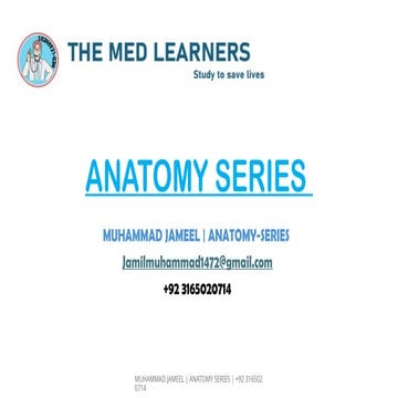 Fossa (animal) visual data 4