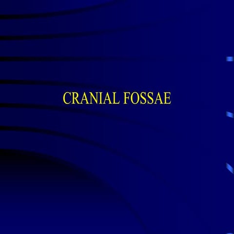 Cranial fossae,mastication muscles