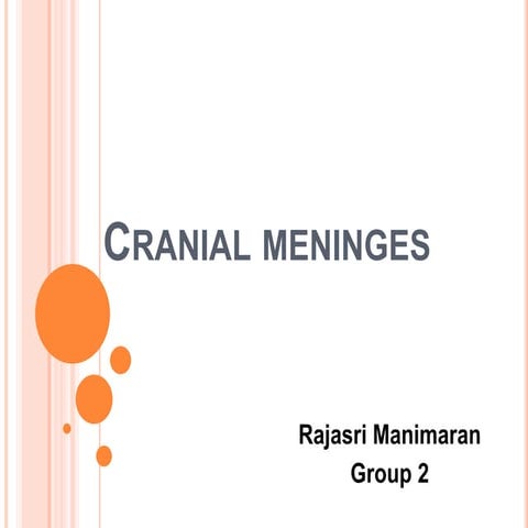 Cranial meninges