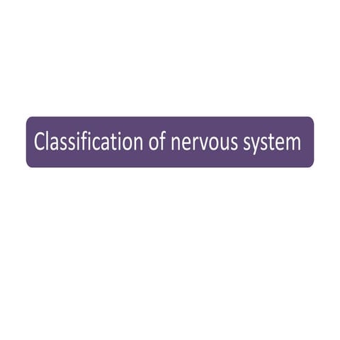 Cranial nerves (peripheral nerve system) 