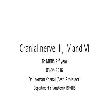 Cranial nerve III, IV and VI