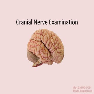 Cranial nerve examination