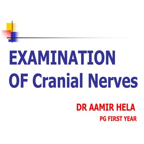 Cranial nerve examination