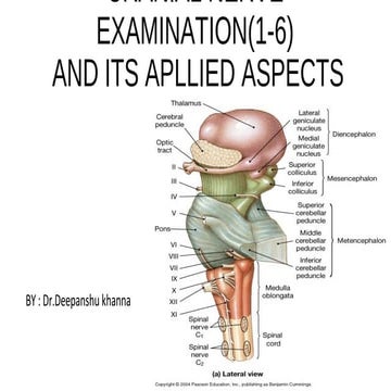 Cranial nerve examination(1-6)