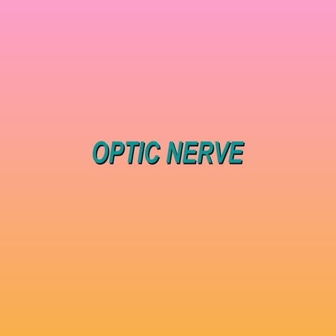 Cranial nerve ii