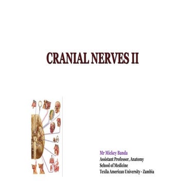 Cranial Nerve II and Visual Pathways.pptx