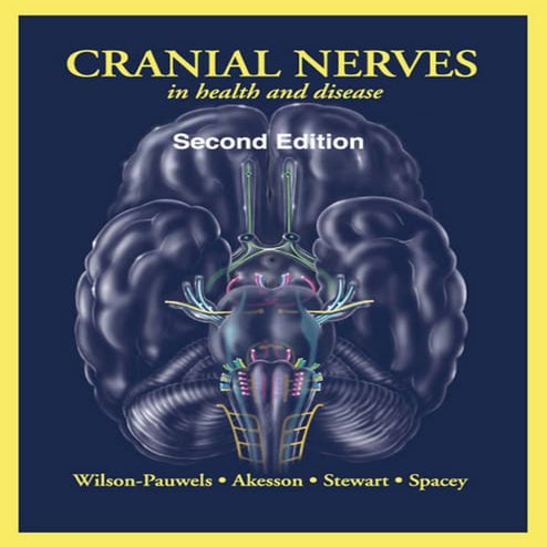 Cranial nerves  
