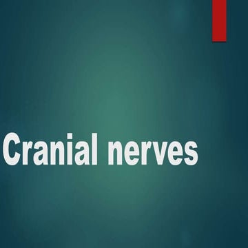 Nervous system of fish; a detailed study | PPTX