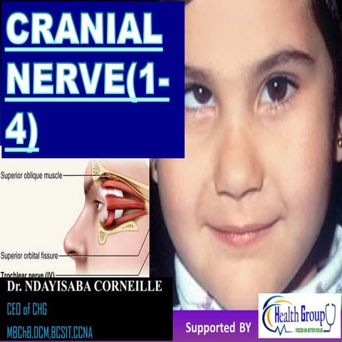 Pair_of _Cranial_nerve_ (from_ CN1_ TO_ CN4)