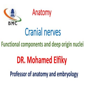 Cranial nerves   neuroanatomy