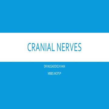 Cranial Nerves