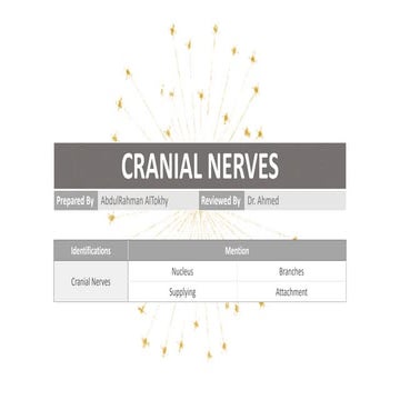 Cranial nerves summary 