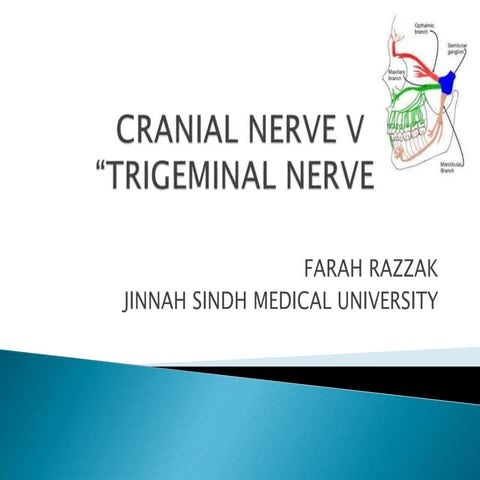 Cranial Nerve V