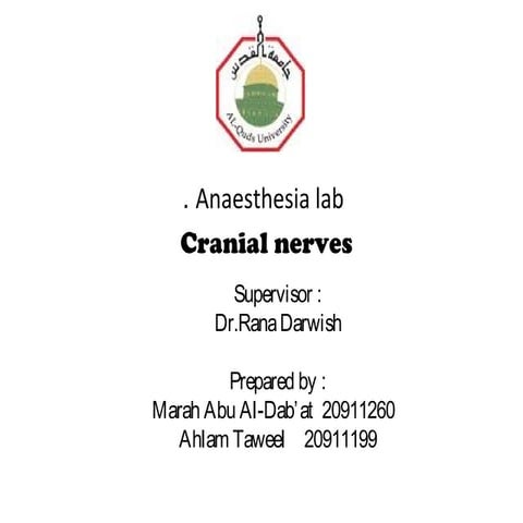 Cranial nerves