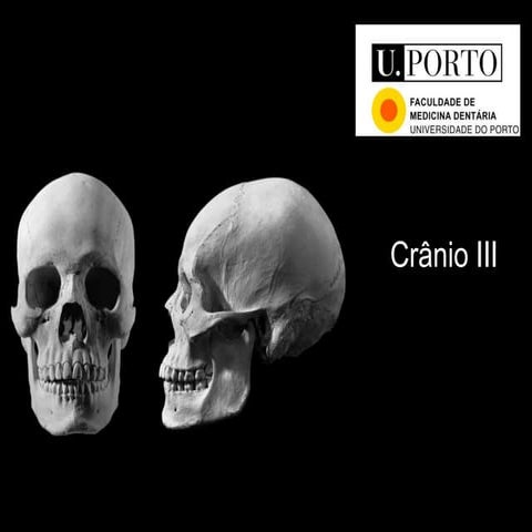 Coluna vertebral | Spine | PPTX