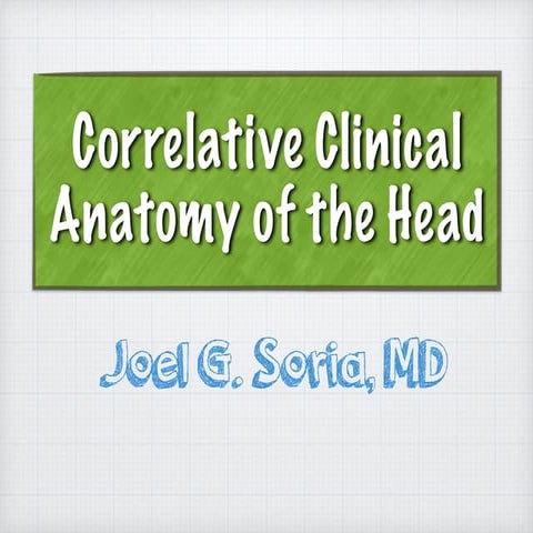 Cranium of the skull copy