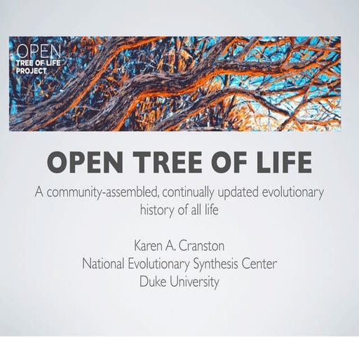 Open Tree of Life at Duke Futures