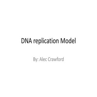  Crawford dna replication activity