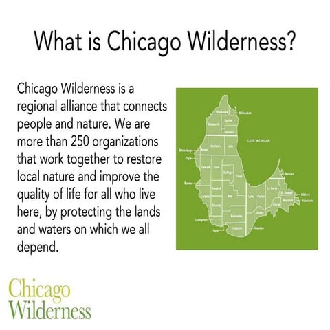 Clean Rivers, Clean Lake 8 -- Green Infrastructure Vision -- Jeffrey Mengler