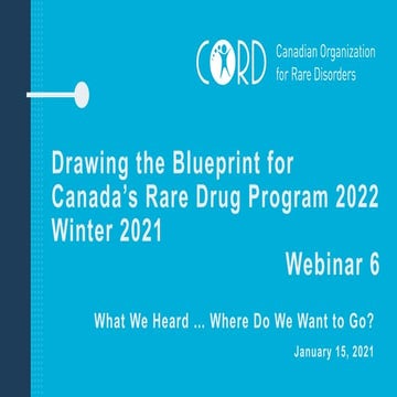 Crowdsourcing Key Issues on Pan-Canadian Rare Drug Program
