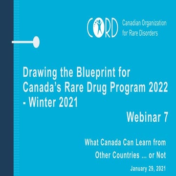 Webinar 7: How Other Countries Provide Access to Rare Disease Drugs