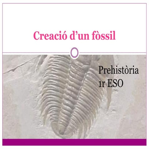 Creació d'un fossil