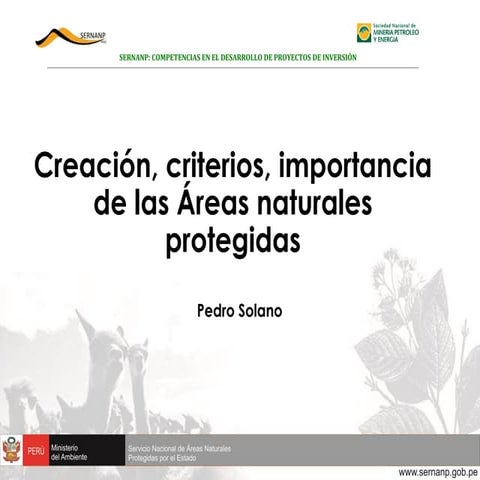 Creacion ANP - Pedro Solano.pdf