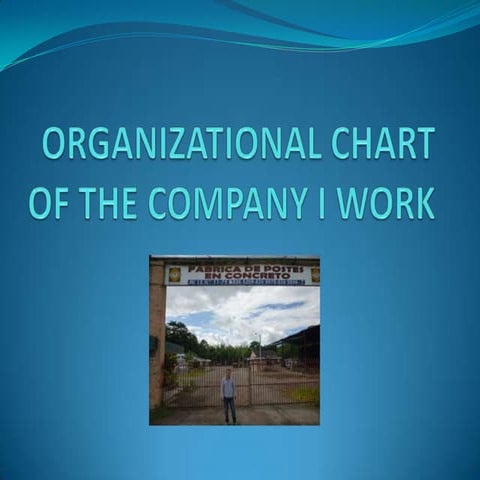 Creacion de organigramas