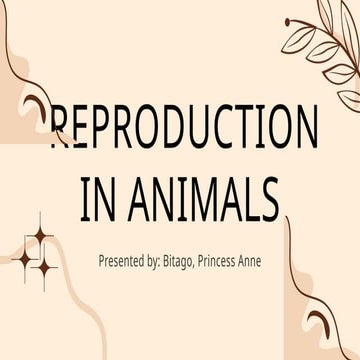 Animal Reproduction on Reproduction in animals