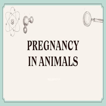 Pregnancy in animals and classification.