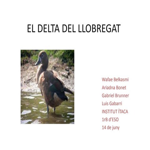 Crea presentación de microsoft office power point