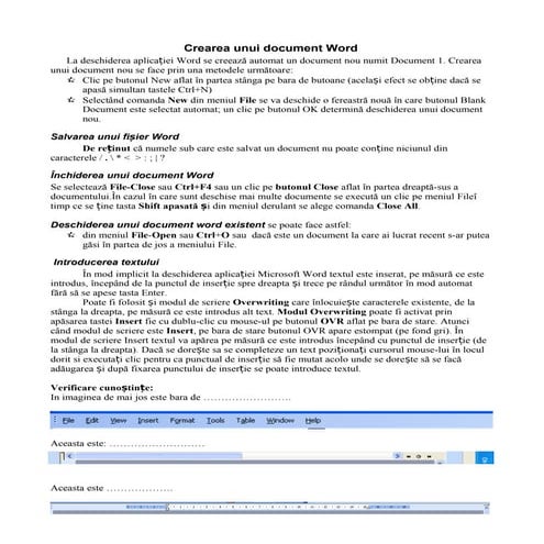 Crearea unui document Word