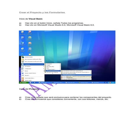 Crear El Proyecto Y El Primer  Formulario Con Su CodificacióN