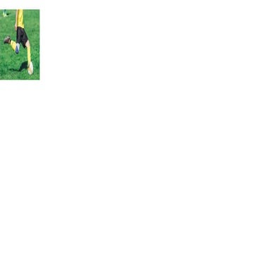 Create slides with pictures and examples on forces for Grade 7..pptx