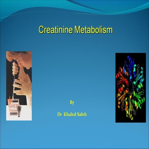Creatine metabolism 