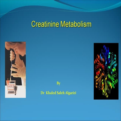 Creatine metabolism 