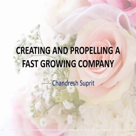 Creating and propelling a fast growing company