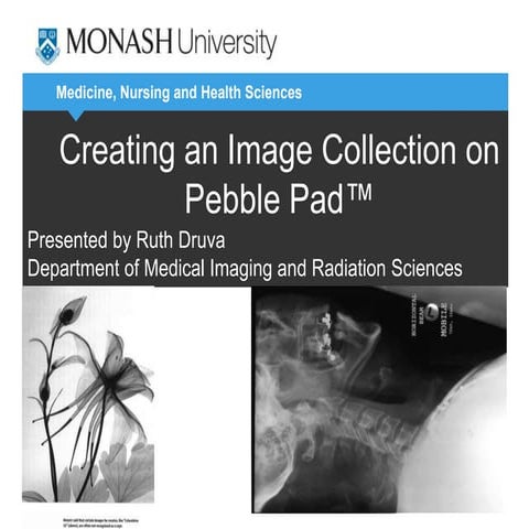 Creating an image collection