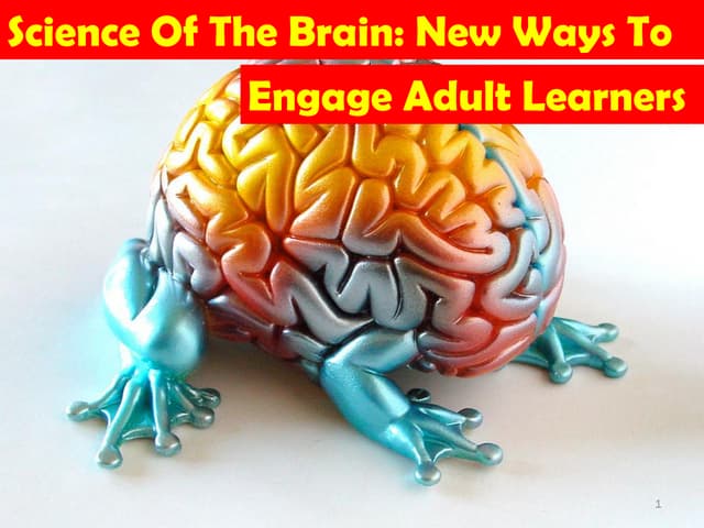 Science Of The Brain: New Ways To Engage Adult Learners