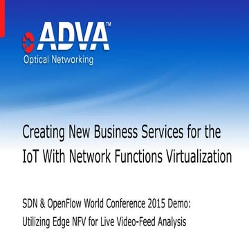 Creating New Business Services for the IoT With Network Functions Virtualization