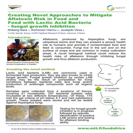 Creating novel approaches to mitigate aflatoxin risk in food and feed ...