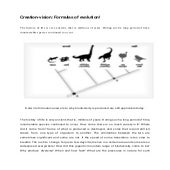 Creation-vision Formulas of evolution!.pdf