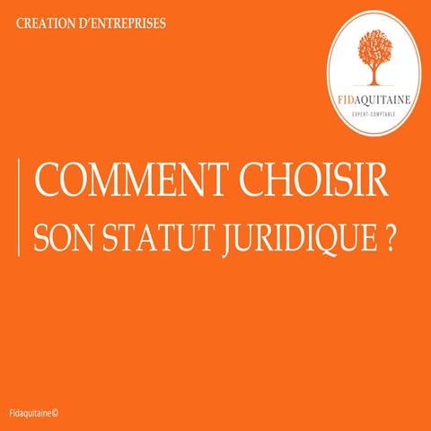 Comment choisir son statut juridique ? | PDF